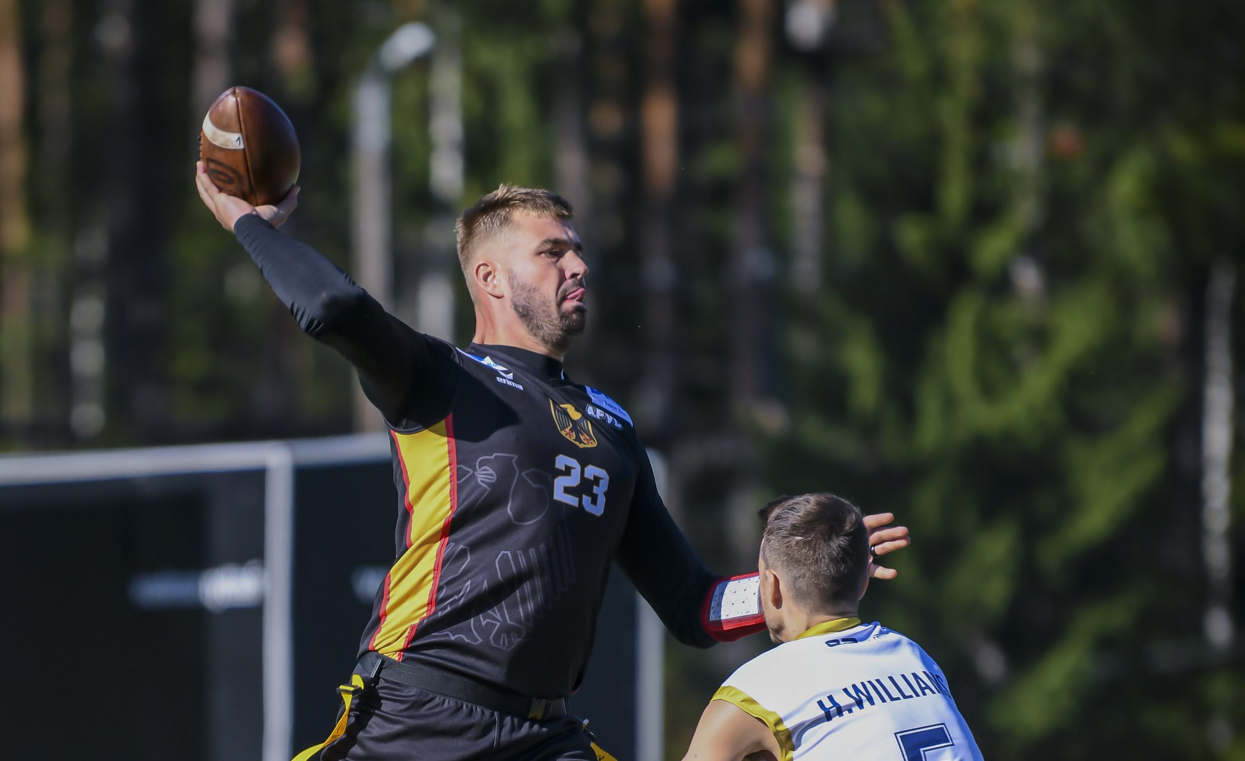 Euro Flag Questions GER M