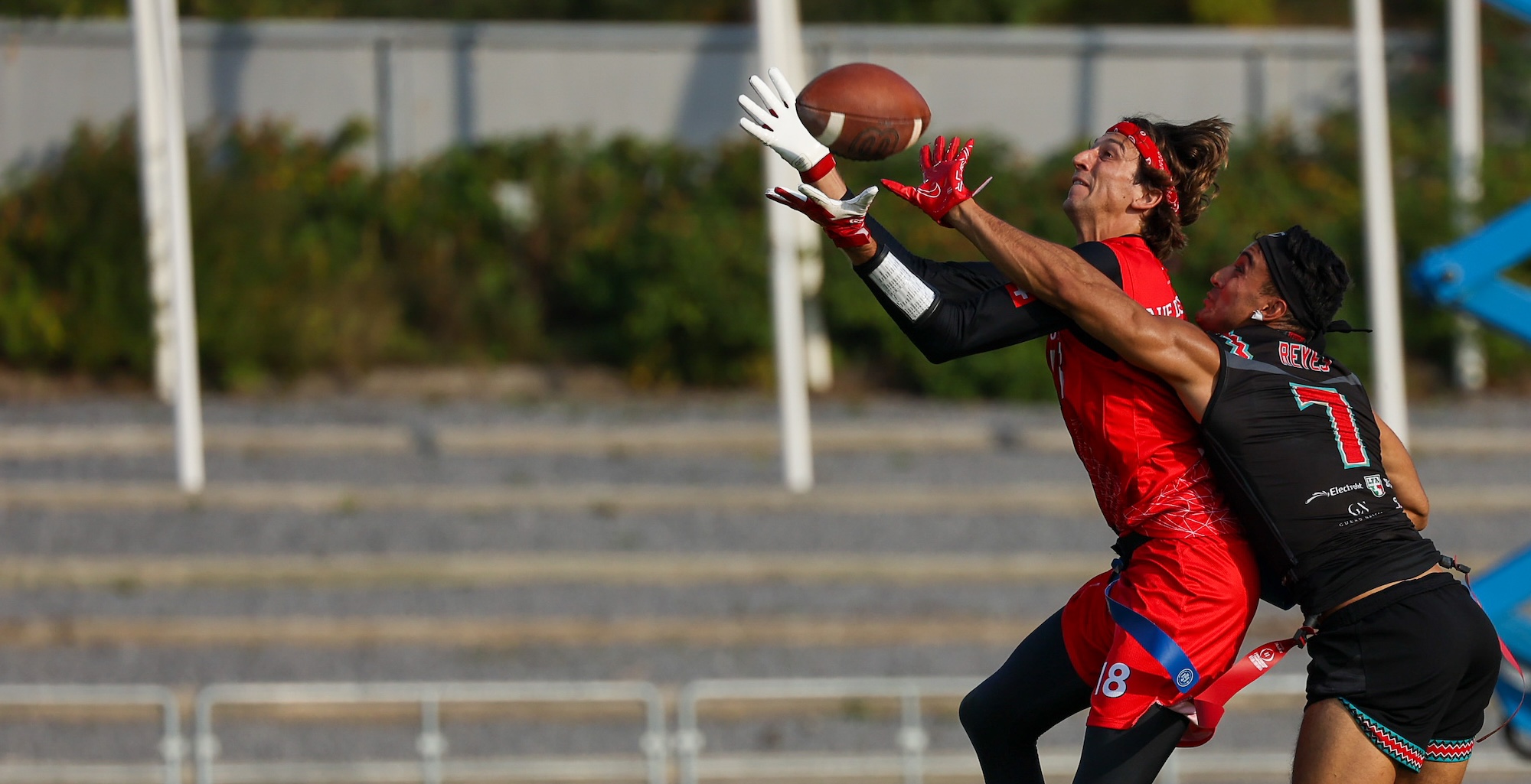 IFAF World Flag 2026 Nation Profile Switzerland