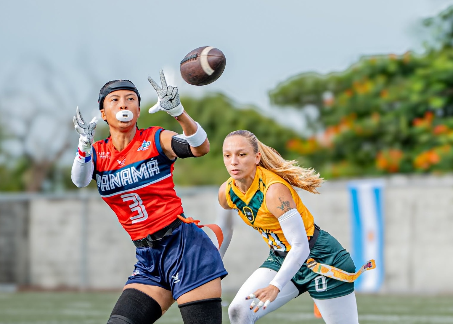 IFAF World Flag 2026 Nation Profile Panama